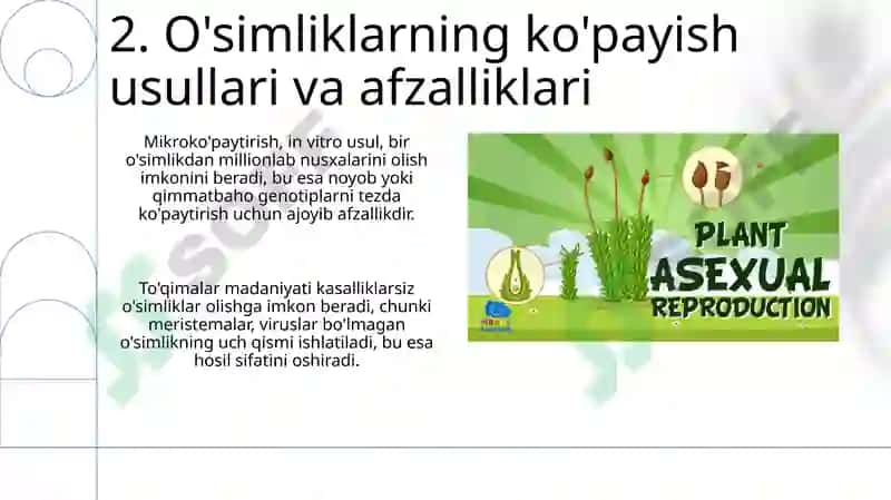 Oʻsimliklarning jinsiy va jinssiz koʻpayish 4