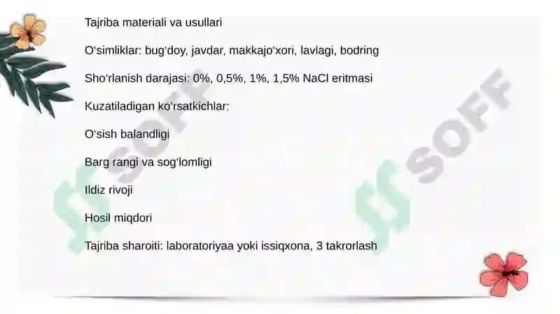 O'simlikning sho'rlanishga chidamliligi. 4