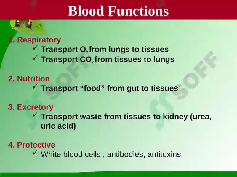 Blood 4
