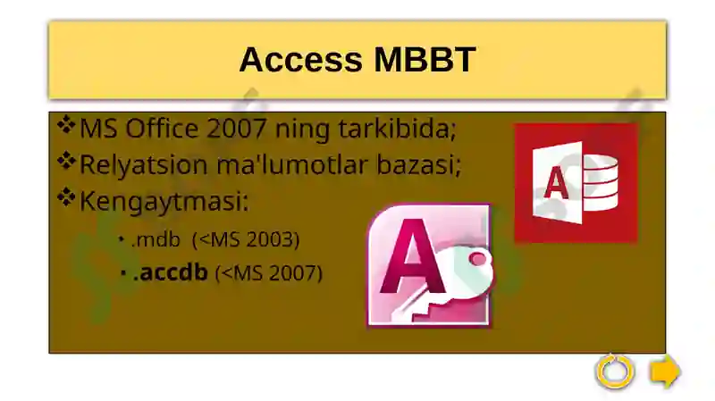 Microsoft Access 4