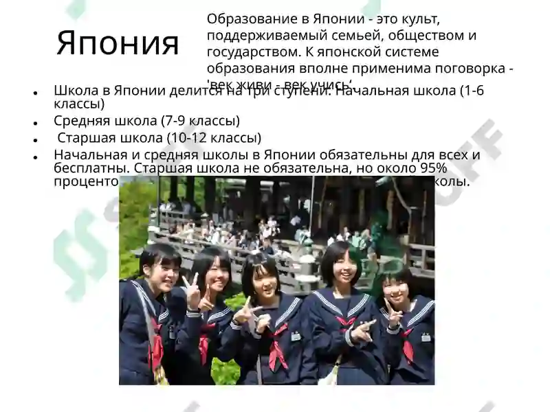 Образование в России 4