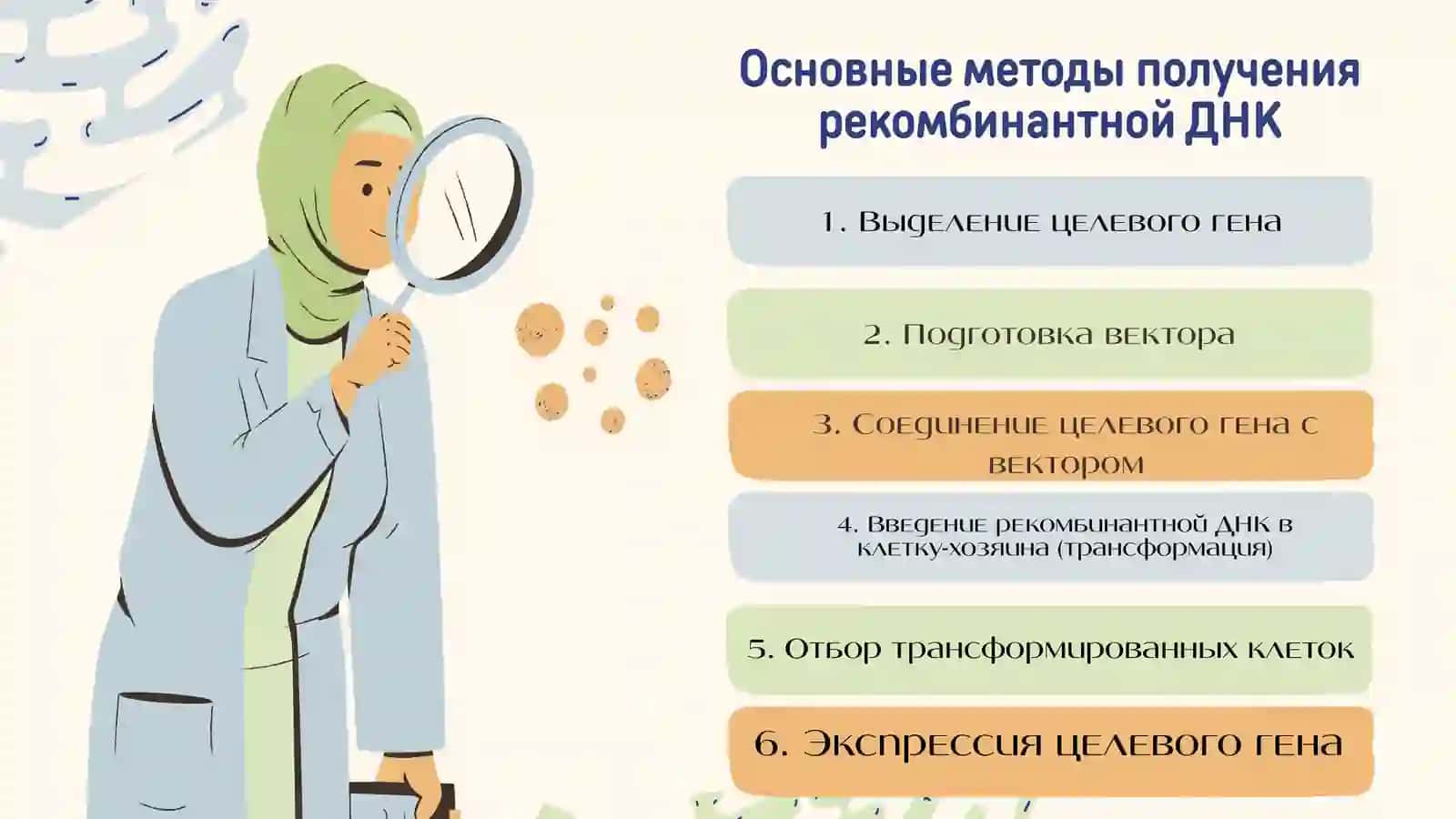 Методы_получении_рекомбинантной_ДНКи_1 4