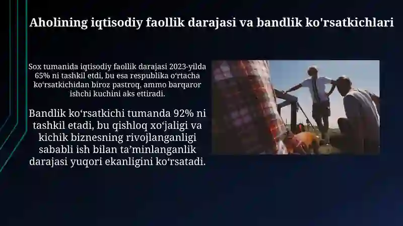 Soʻx tumanida mehnat resurslari va bandlik 4