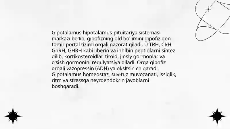 Endokrin tizimi 4
