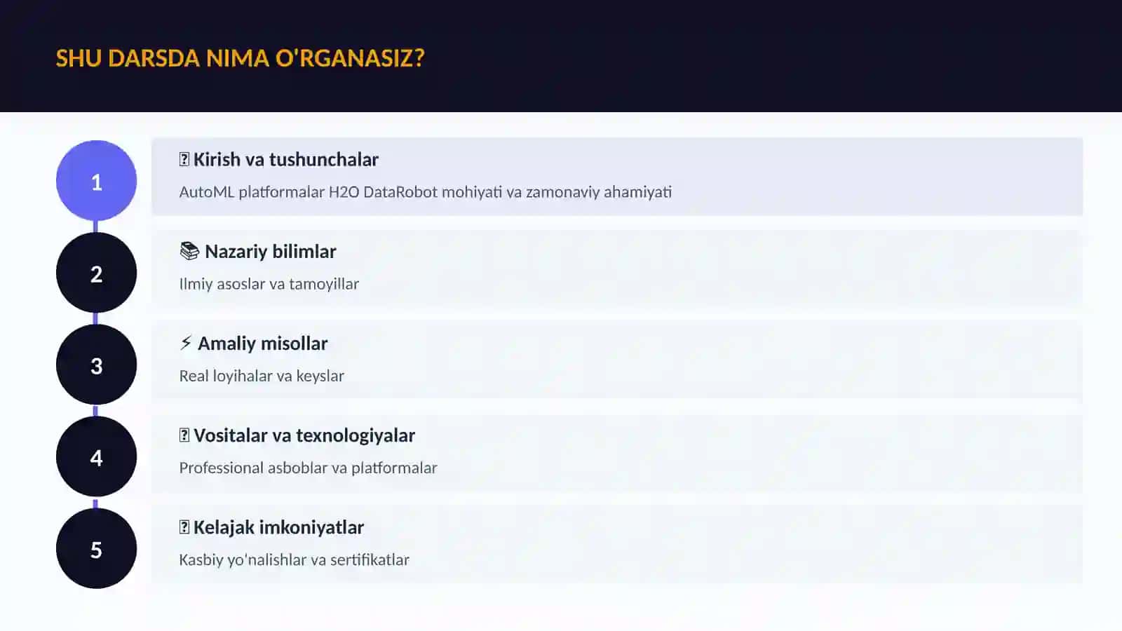 AutoML platformalar H2O DataRobot 4