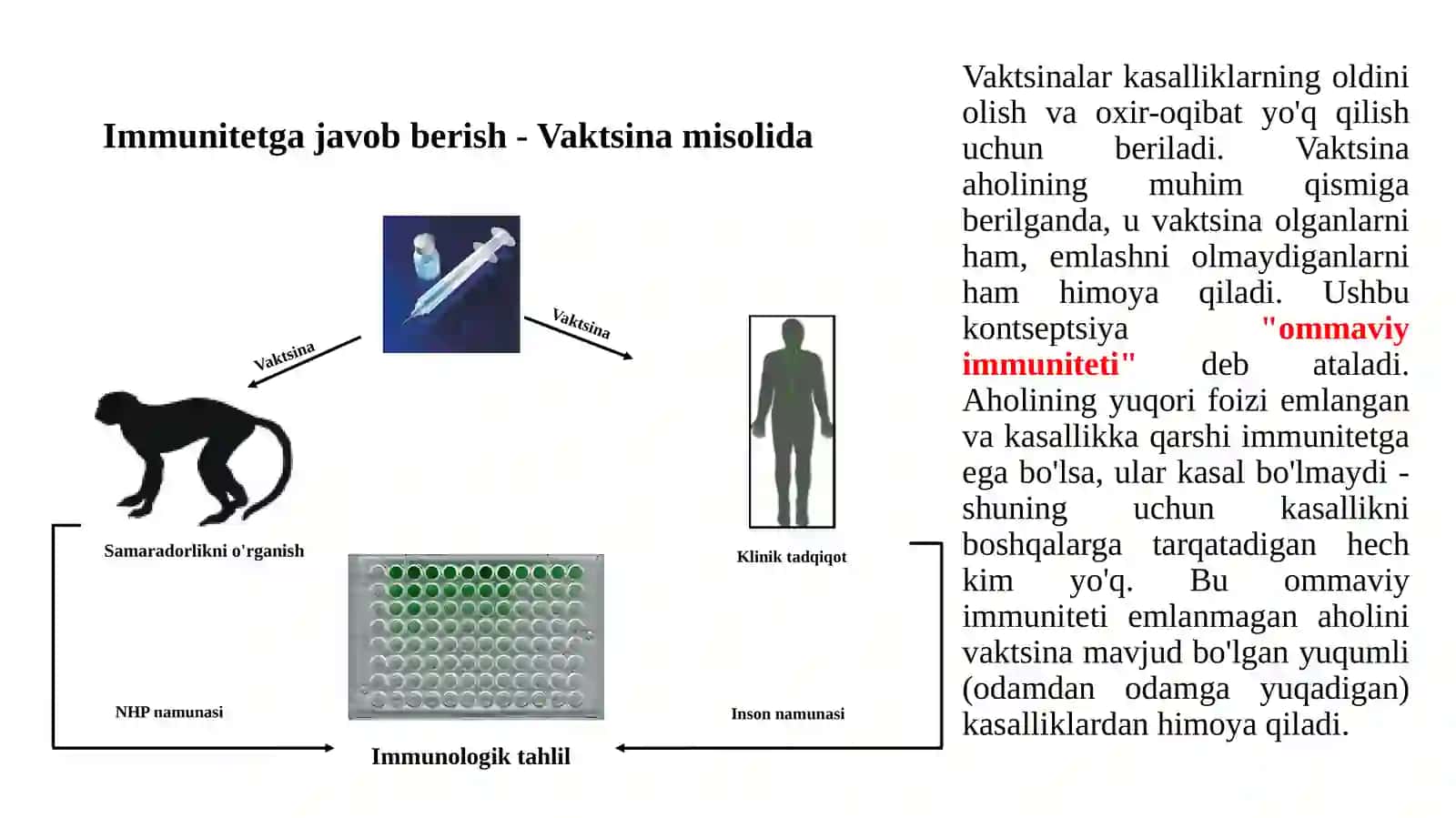 VAKSINALAR VA IMMUN ZARDOBLAR, ULARNING TURLARI, OLINISHI, TIBBIYOT AMALIYOTIDA QO’LLANILISHI 4
