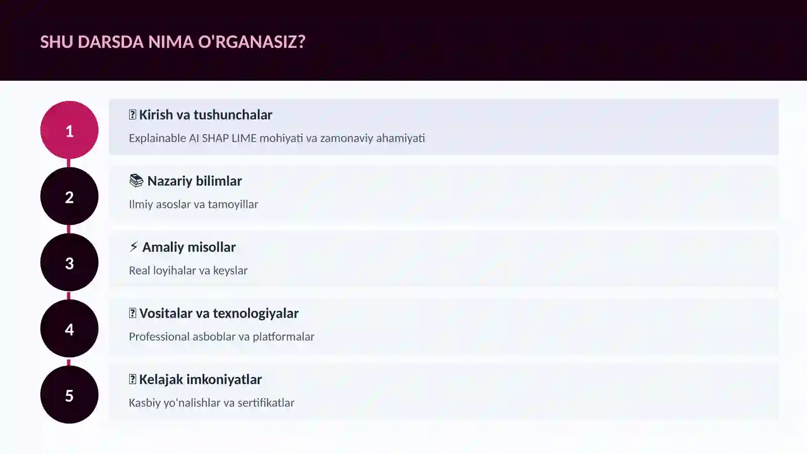 DATA SCIENCE VA TAHLIL Explainable AI SHAP LIME 4