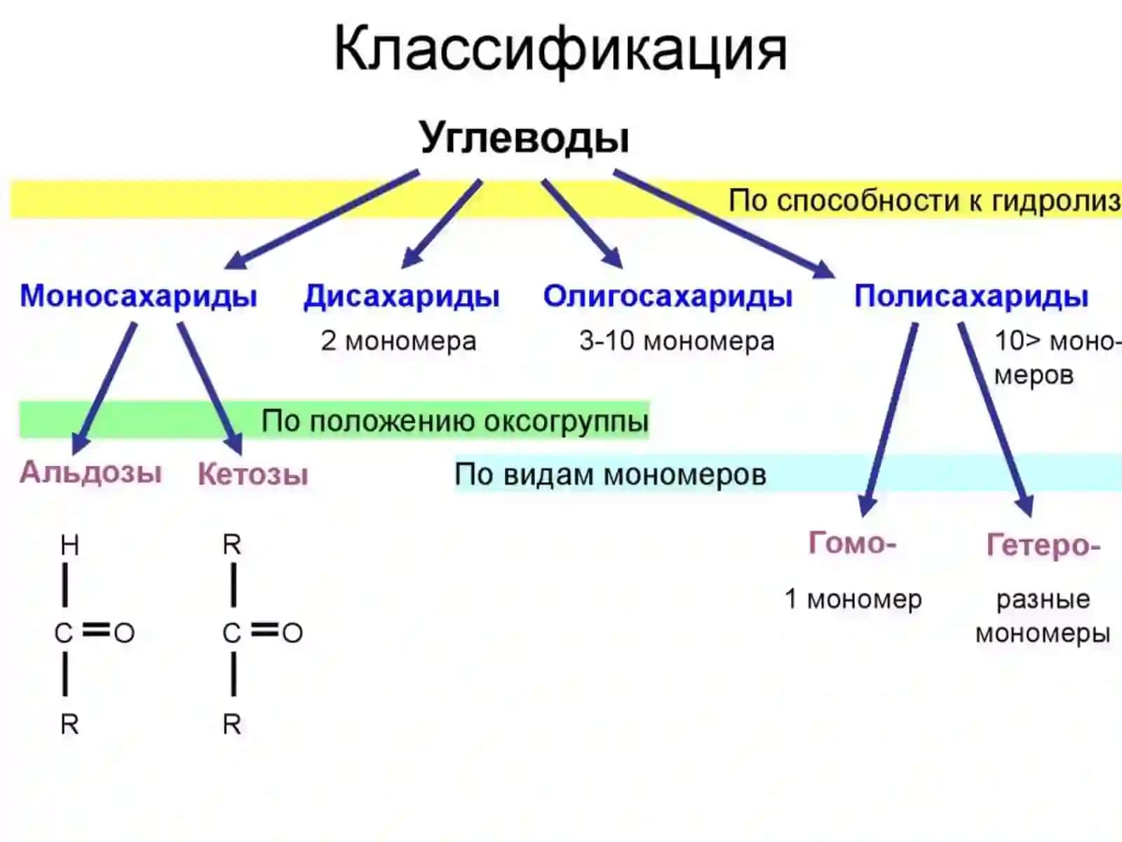 Углеводлар алмашинуви ва функциялари 4