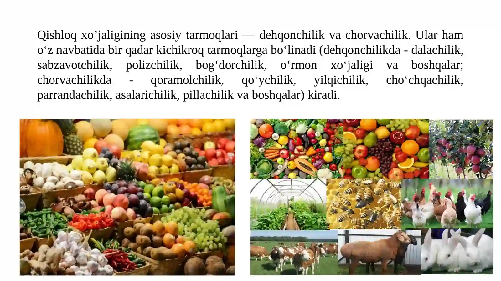 Qishloq xo’jaligining hududiy ixtisoslashuvi 4