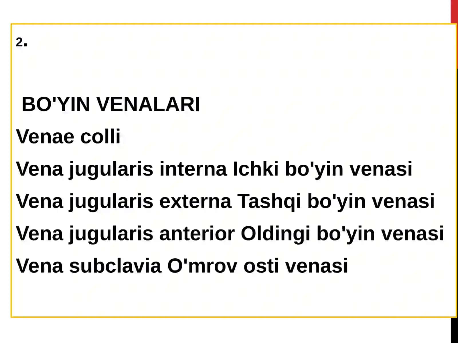 Operativ xirurgiya va topografik anatomiyasi 4