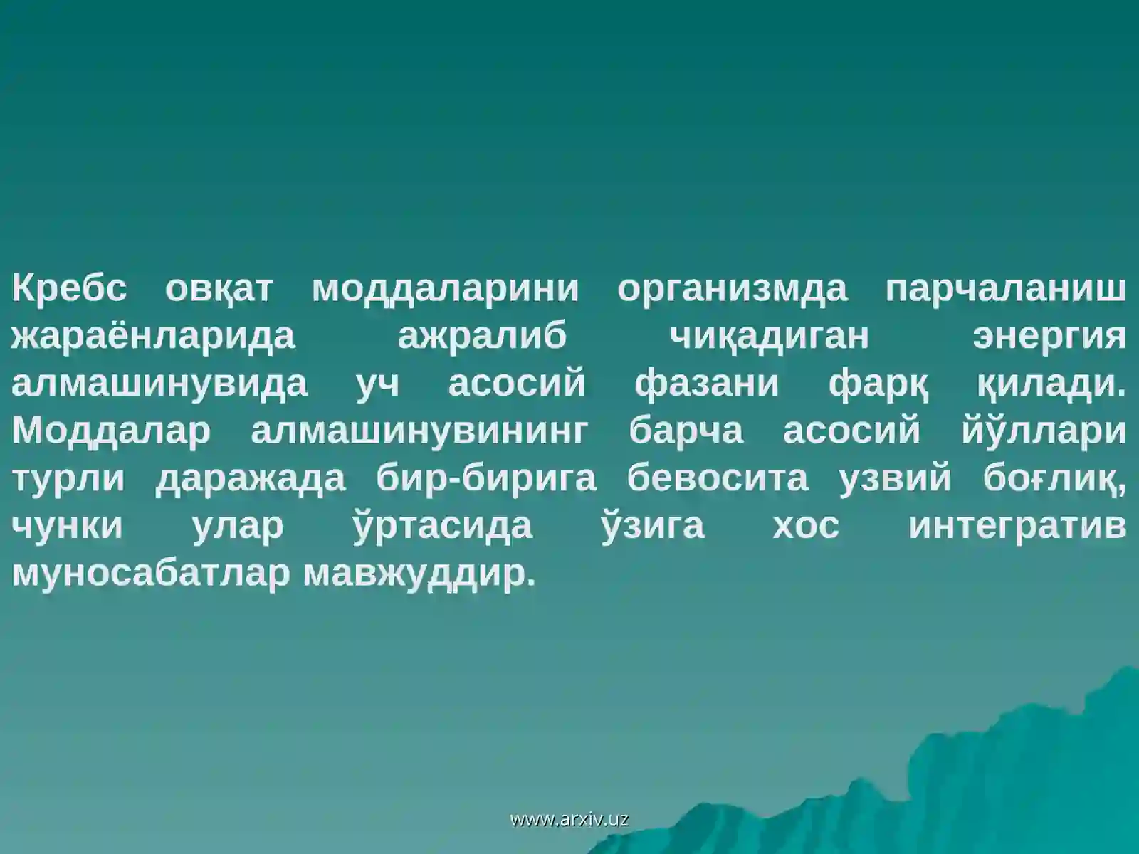 Preview 4