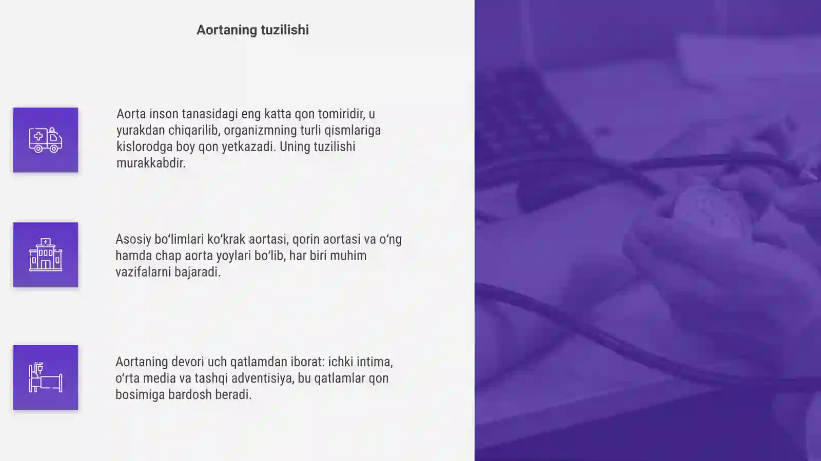 Aorta qon tomiri 4