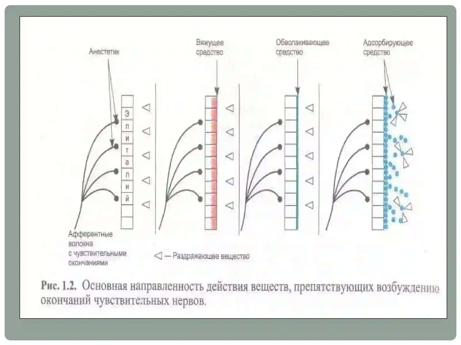 АСАБ СИСТЕМАСИГА ТАЪСИР ЭТУВЧИ ДОРИ (НЕЙРОТРОП) ВОСИТАЛАР 4