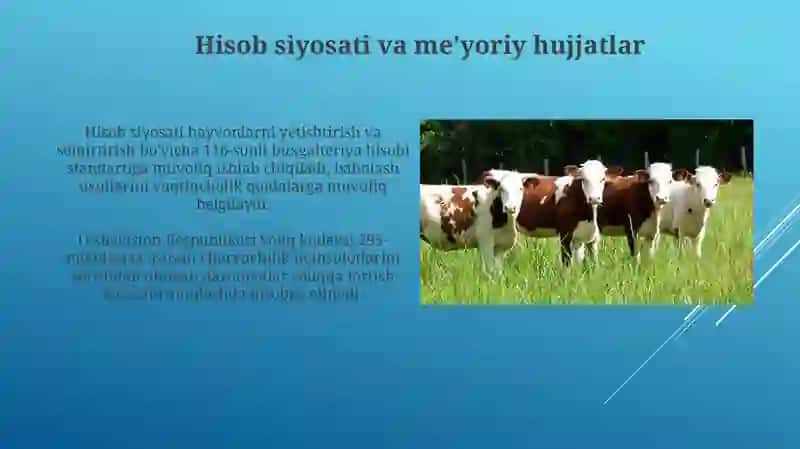 Chorvachilik va semirishdagi hayvonlarni hisobga olishning tеkshirish va audit qilishni muhokamа qilish 4
