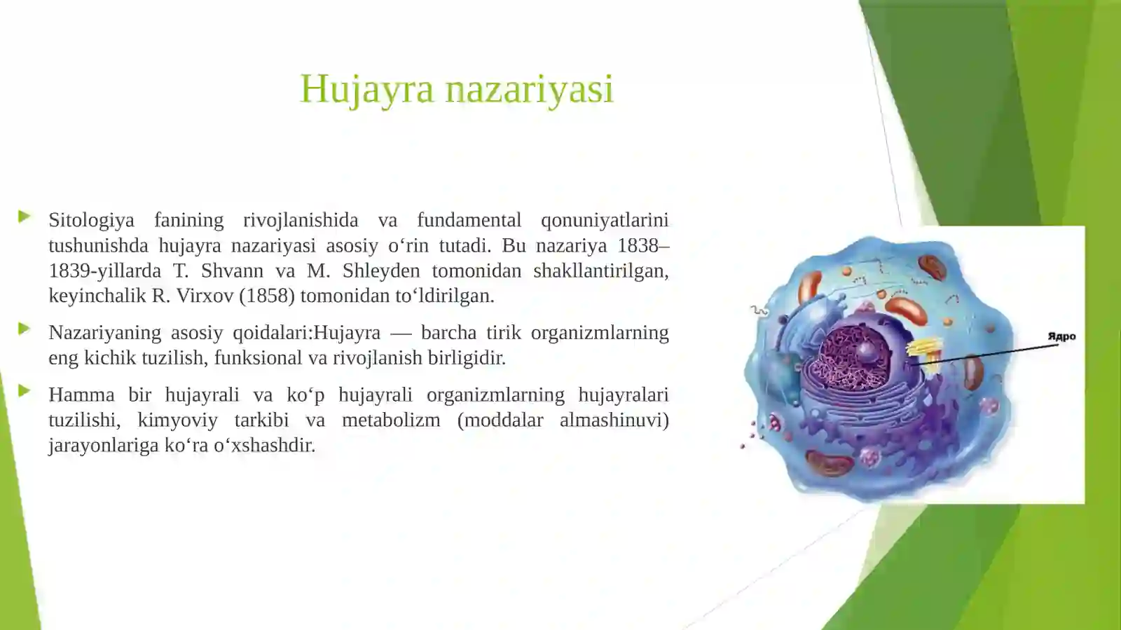 Sitologiya 4