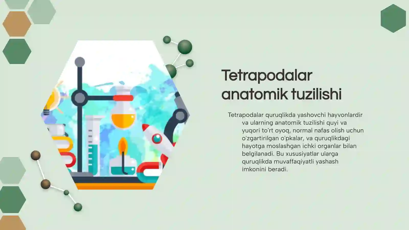 Tetrapodalar va morfofiziologik xususiyatlari 4