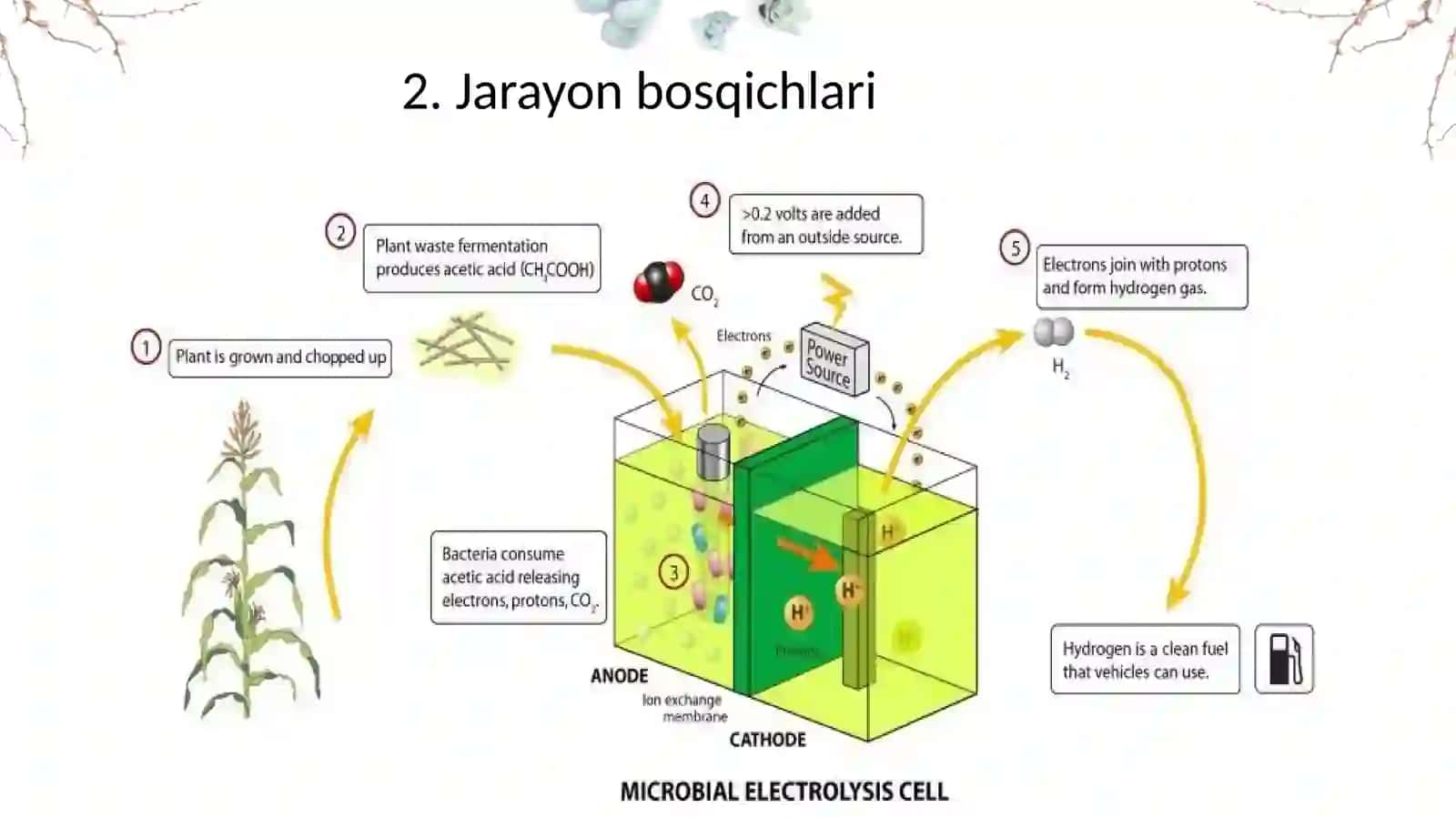 Biomassani anaerob parchalanish orqali energiyaga aylantirish jarayoni 4