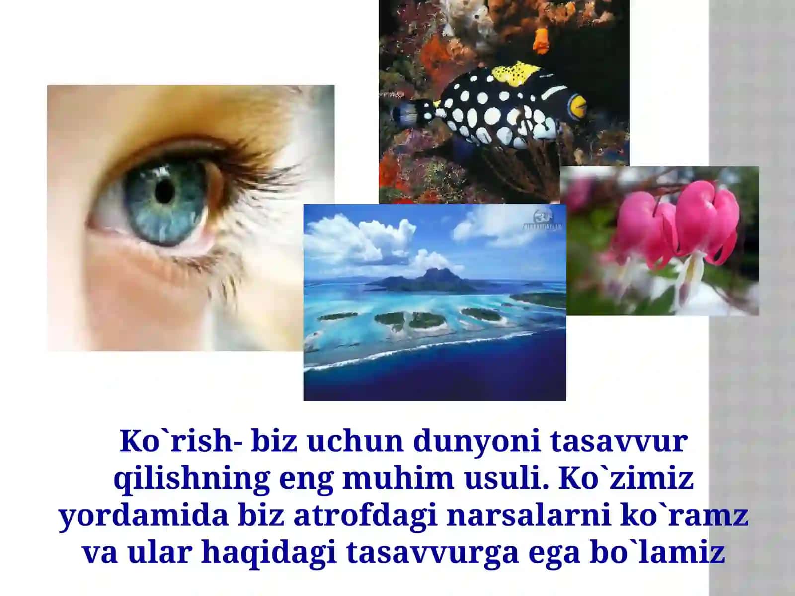 Eshitish organini o'qitishda yangi pedagogik texnologiyadan foydalanish 4