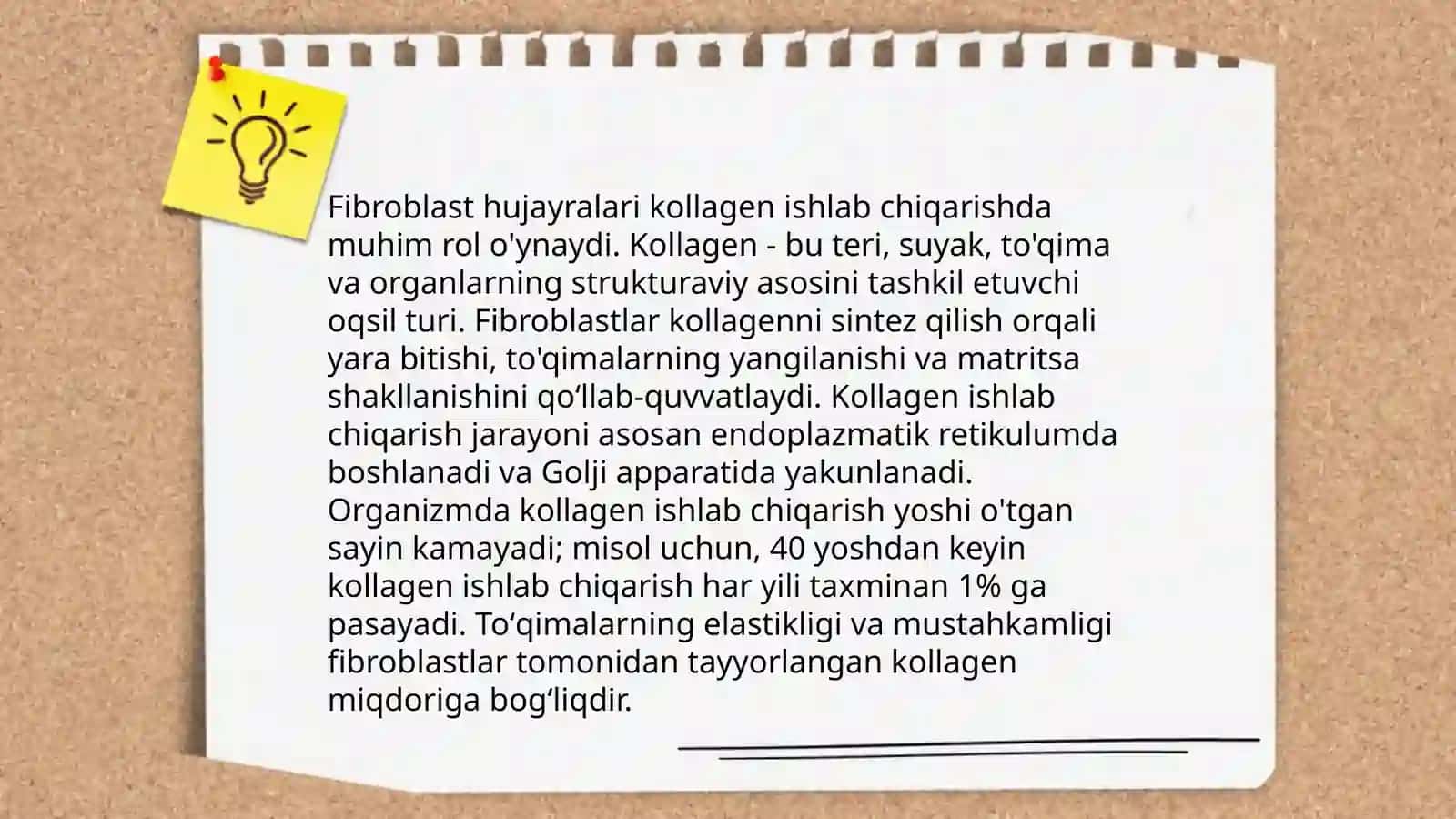 Fibroblastlarning jarohatning bitishi va chandiq hosil bo'lishidagi roli 4