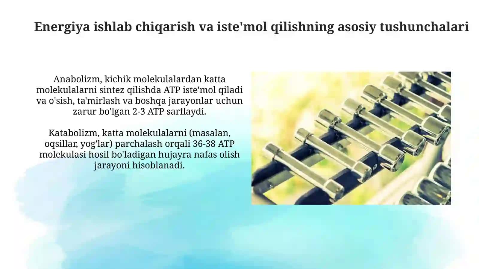 Metabolik Jarayonlarda Energiya almashinuvi 4