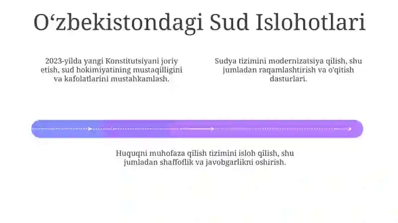 O'zbekistondagi Huquqni muhofaza qilish islohotlari 4
