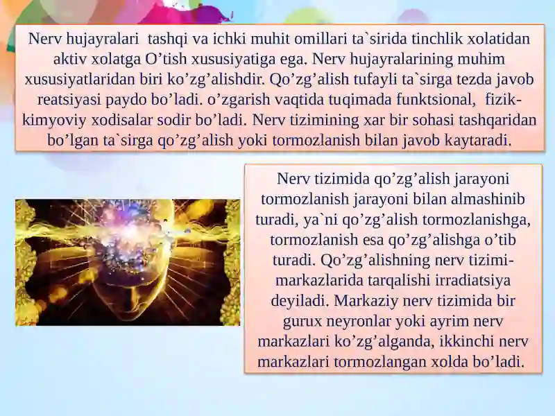 Preview 4