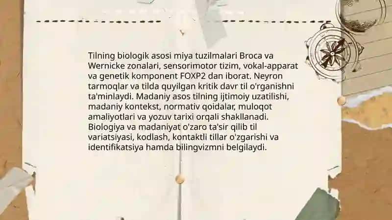 Tillarning shakillanishi va taraqqiy qilishi 4