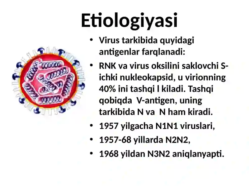 Gripp O'RVI 4