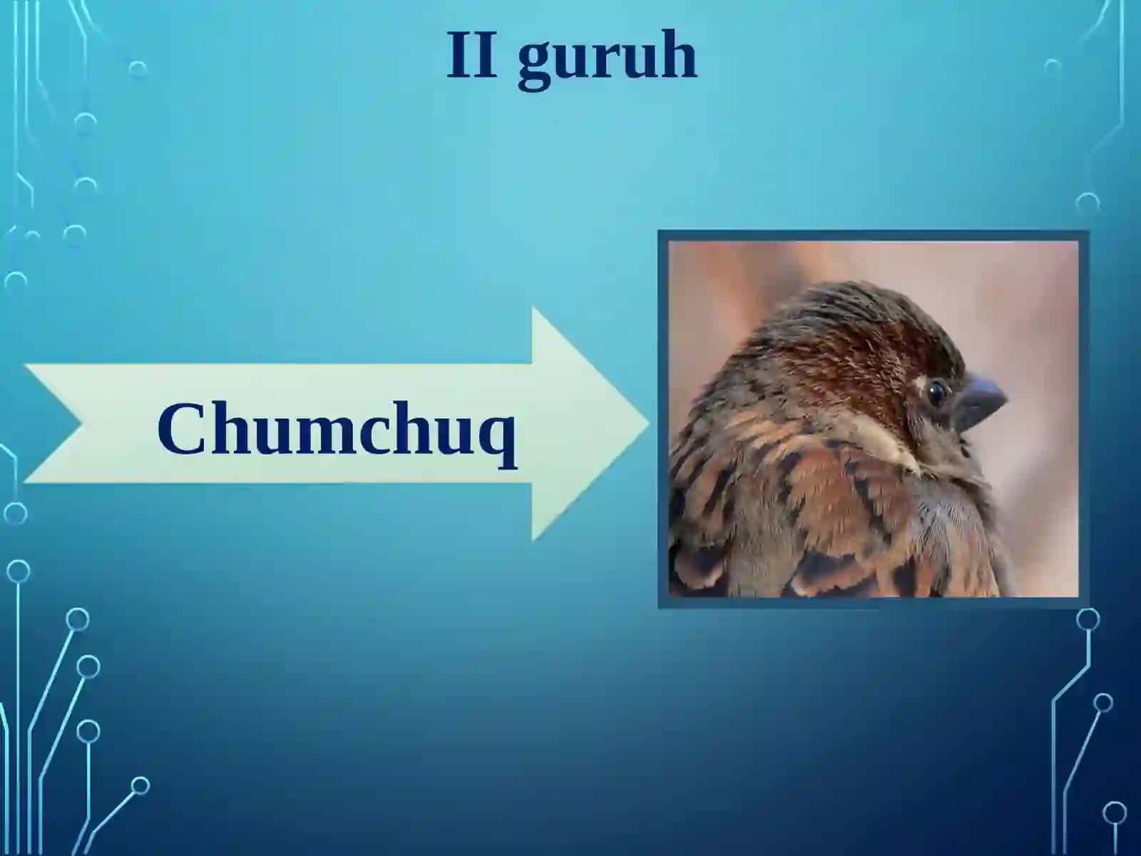 Qushlarning   ko’payishi,   rivojlanishi  va kelib  chiqishi 4