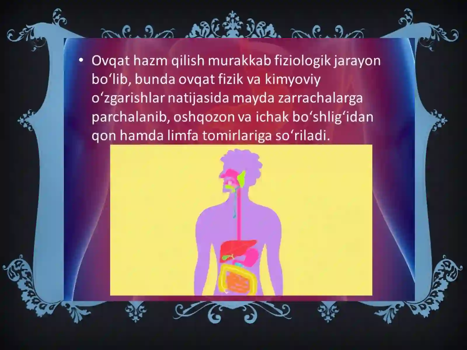 ovqat hazm qilish organlari 4