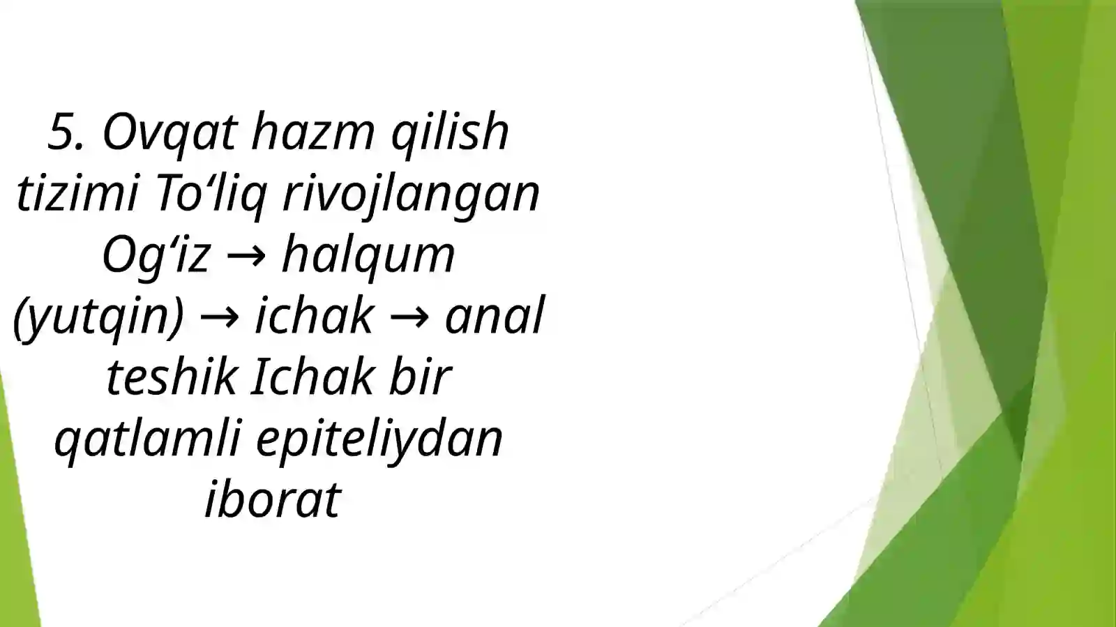 To‘garak chuvalchanglarning tana tuzilishi 4