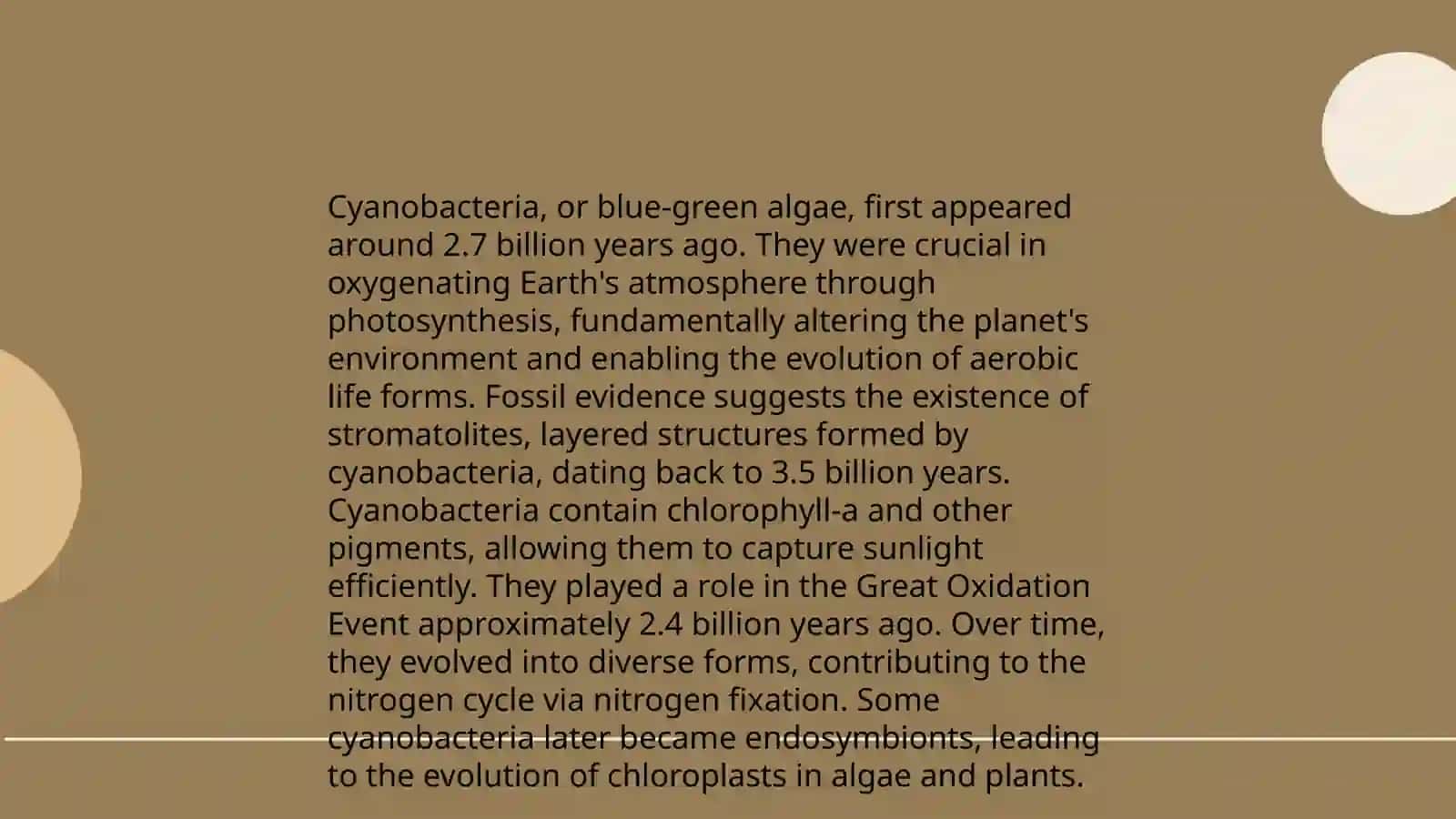 The evolution of plants 4