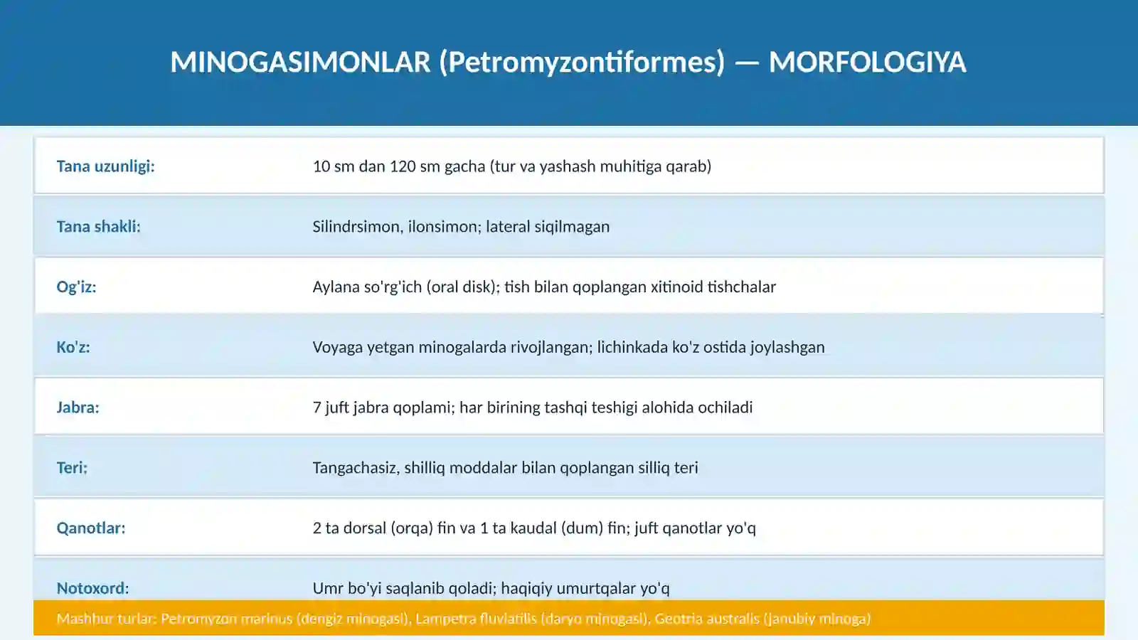 MINOGASIMONLAR VA MIKSINASIMONLAR 4