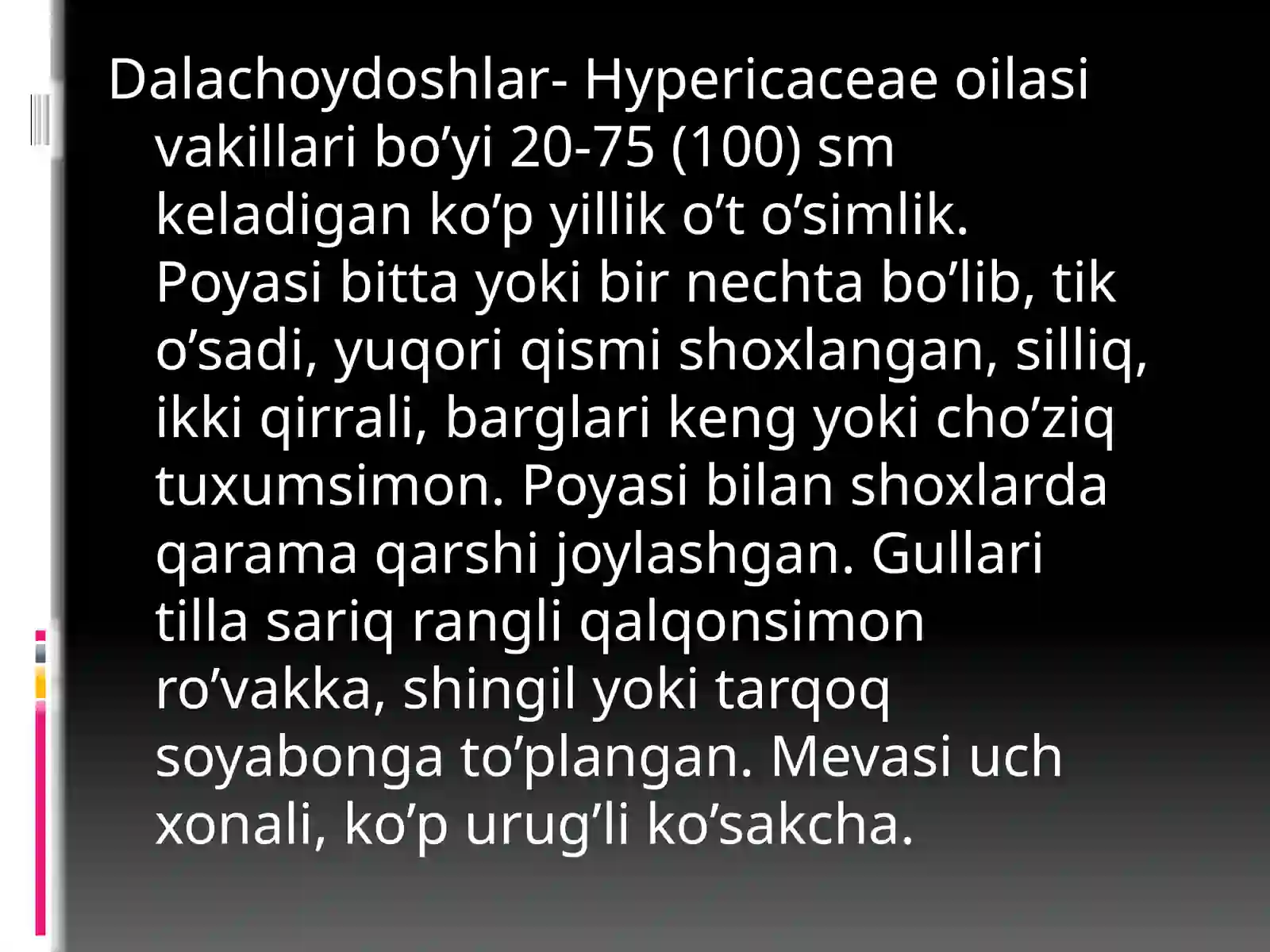 Dalachoydoshlar oilasi 4