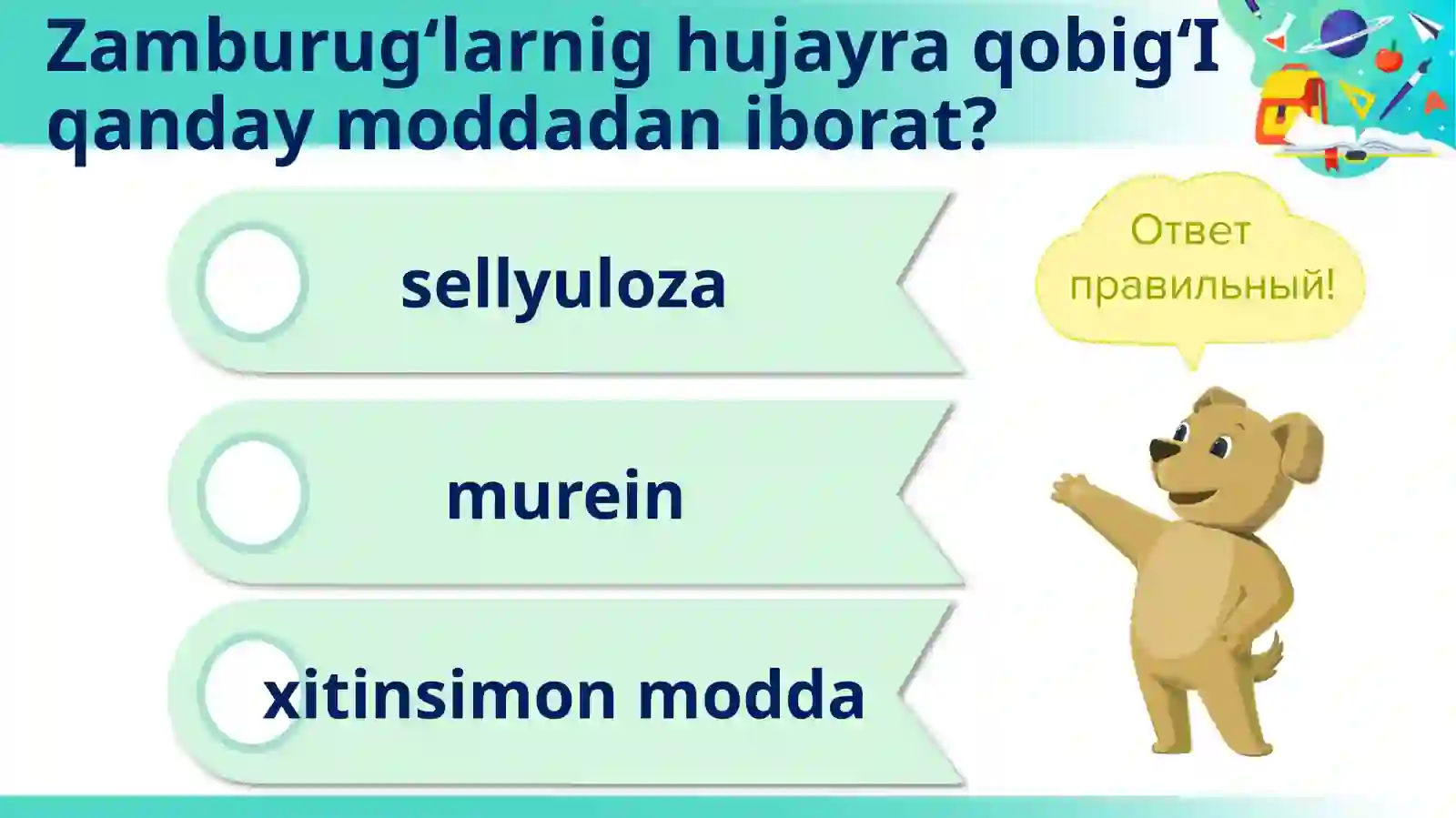 Sitoplazma 4
