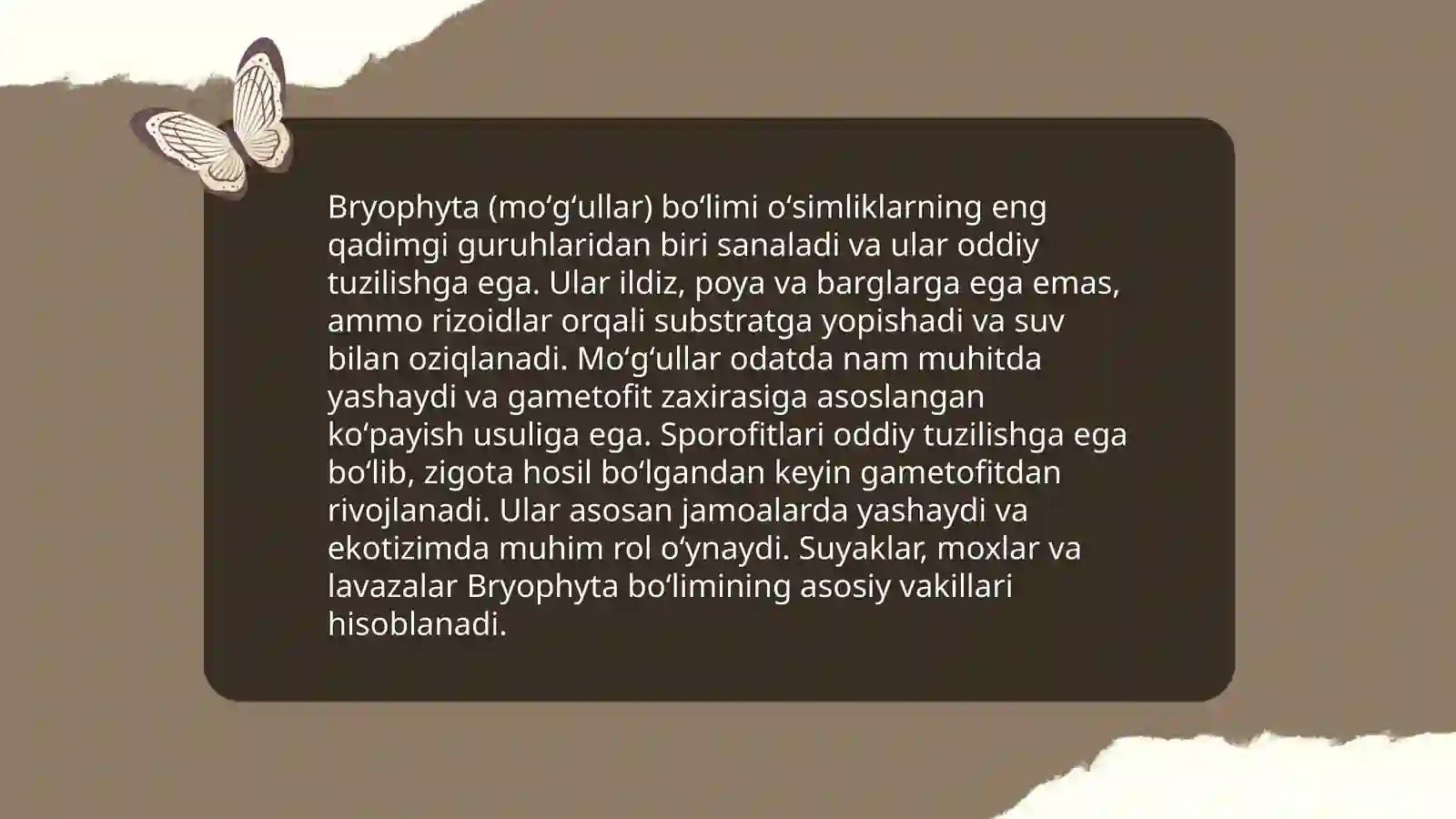 Bryophyta va Ryniohyta oʻsimliklar 4