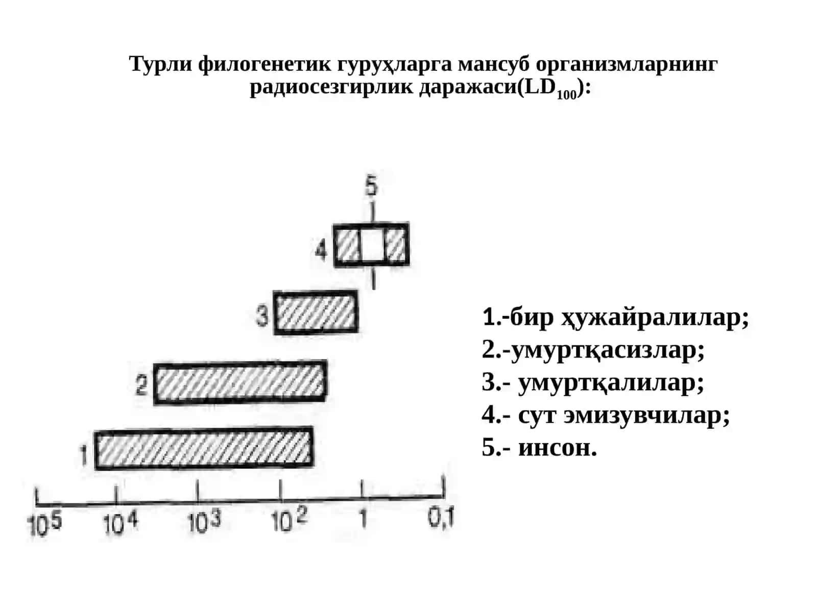 Радиосезгирлик 4