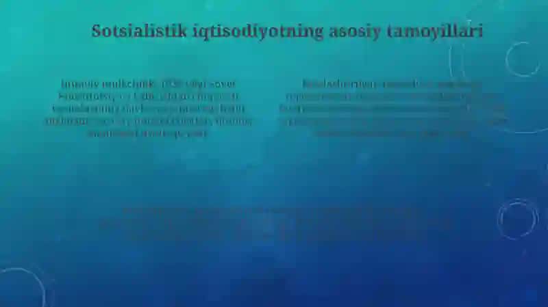 Bozor iqtisodiyoti va sotsializm: Asosiy tushunchalar 4