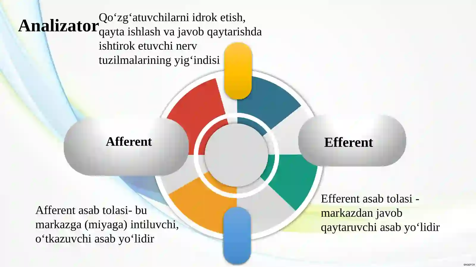 SEZGI 4