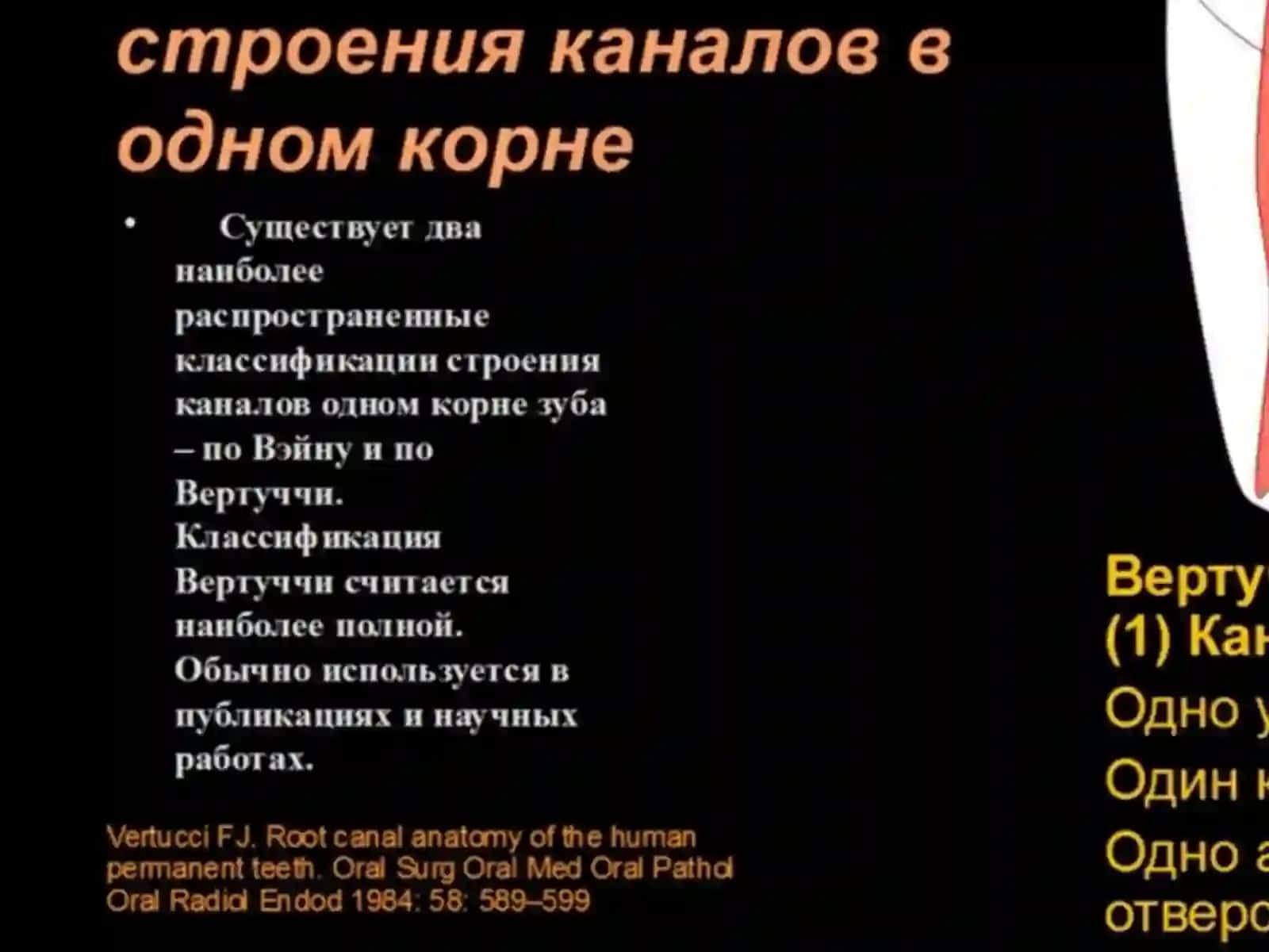 Топография анатомии полости зуба 4