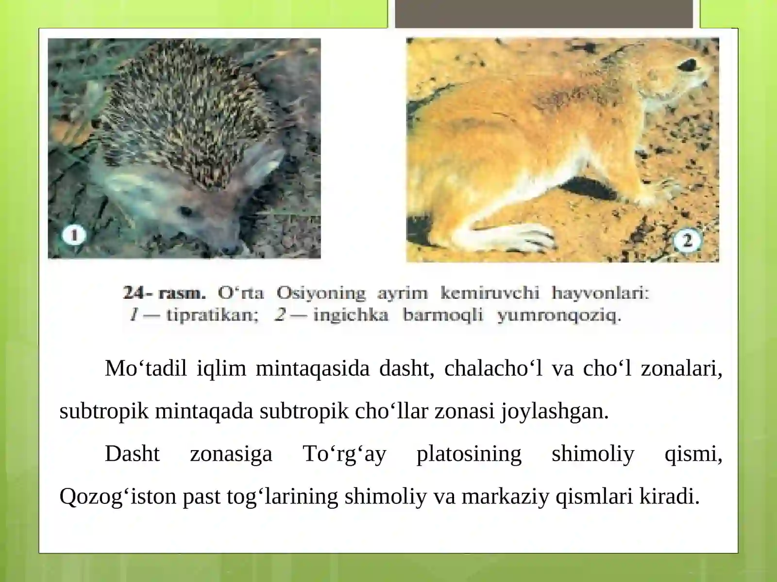 Tabiat zonalari 4