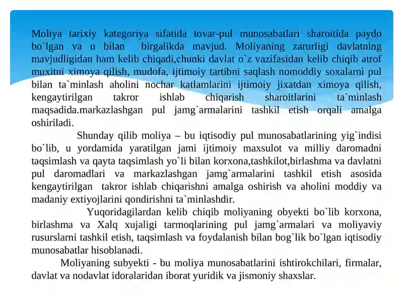 Davlat moliyaviy nazorati 4