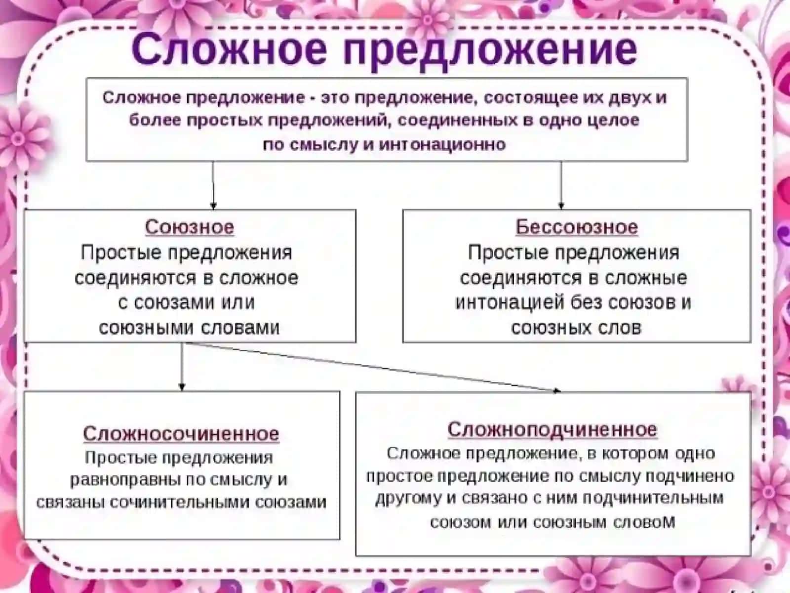 Общие сведения о сложном предложении 4