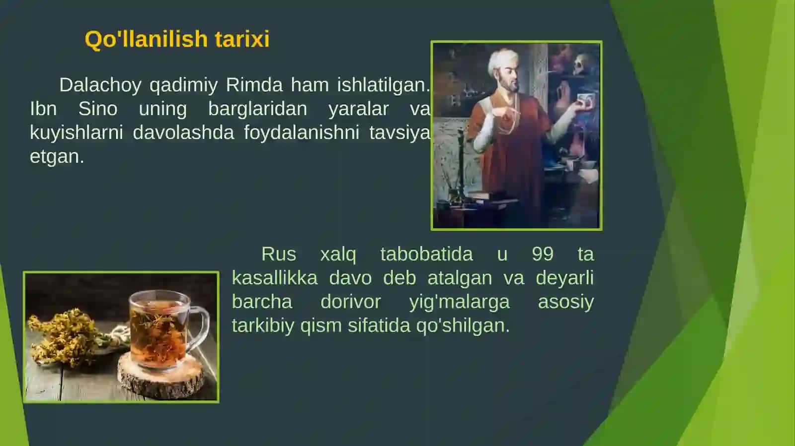 Dala choyi (dalachoy) dorivor o'simligining mavsumiy kasalliklarda qo'llanilishi 4