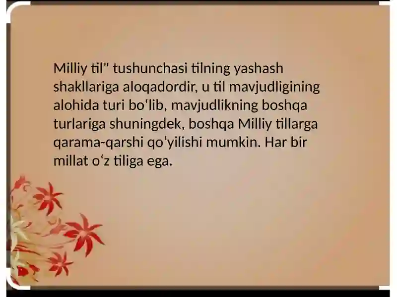 Milliy va adabiy til 4