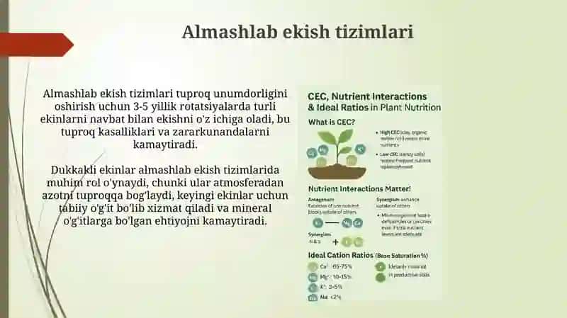 Tuproqunumdorligi va tuzilishining ahamiyati 4