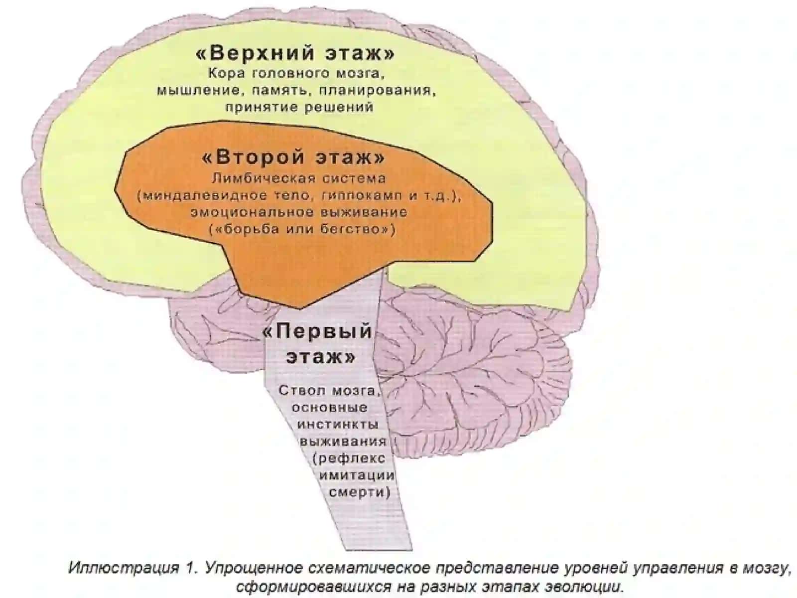 ПАМЯТЬ 4