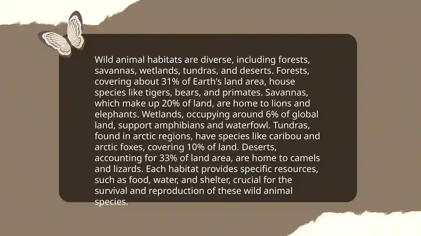 Wild animals 4