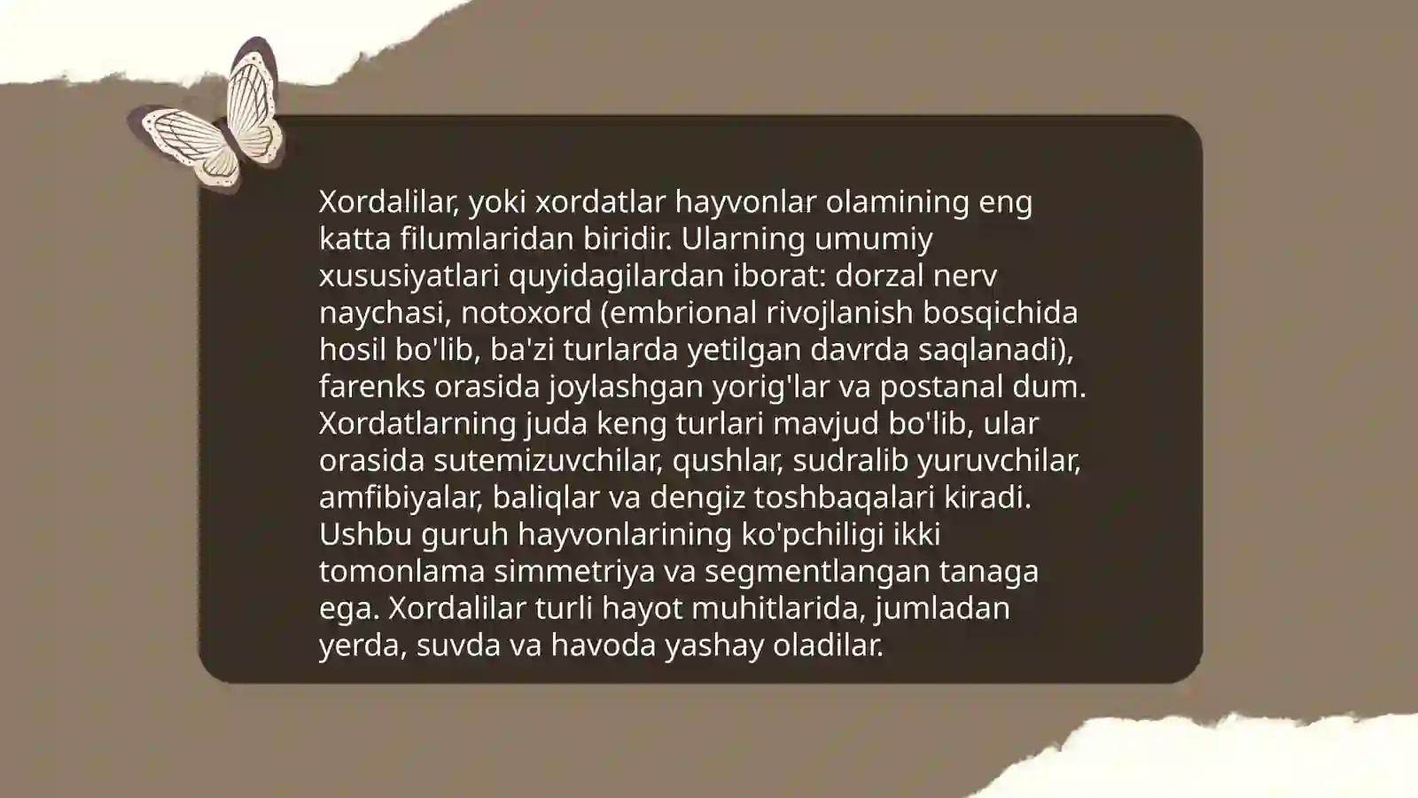 Xordalilarning muhim belgilari va ularning biologik ahamiyati 4