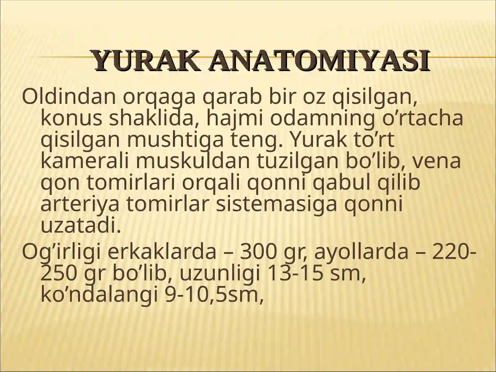 Yurak anatomiyasi 4
